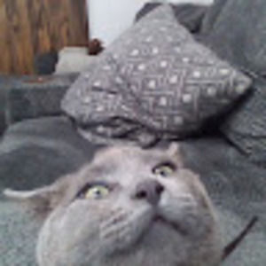 Meet your Posher, Efrain